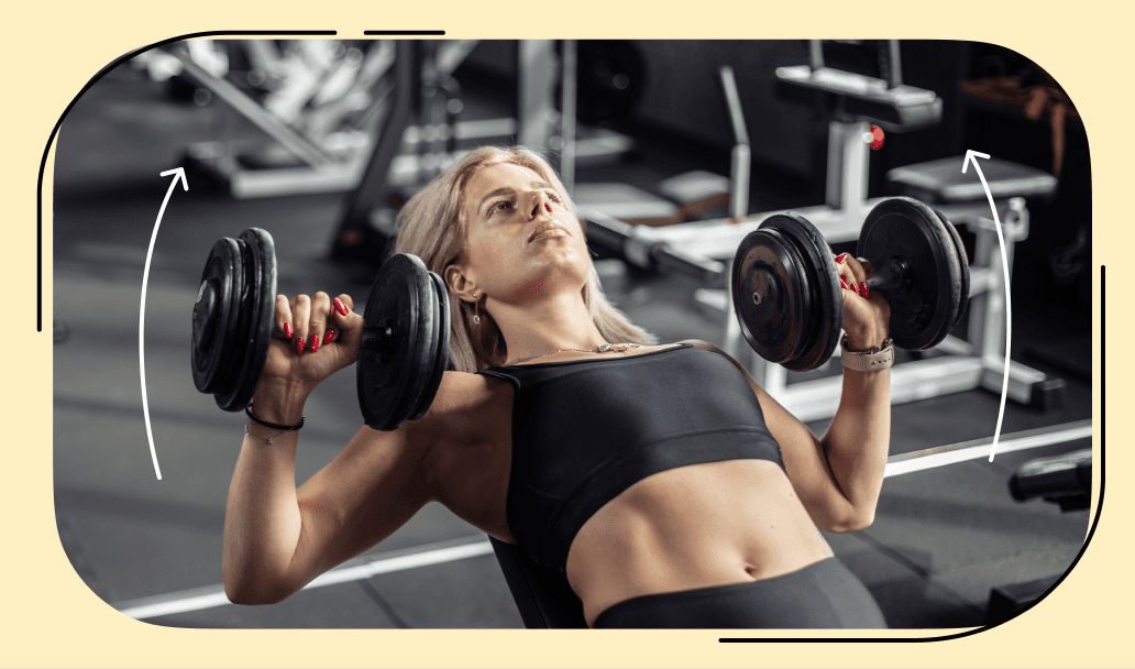 Dumbbell Chest Press