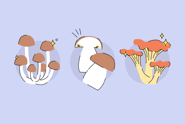 Are Mushrooms Good for You?